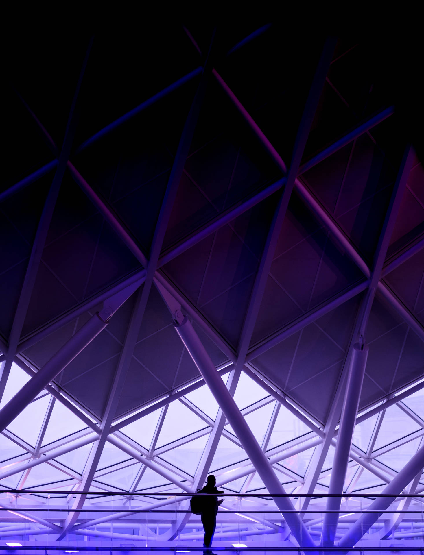 Man In Purple Architecture