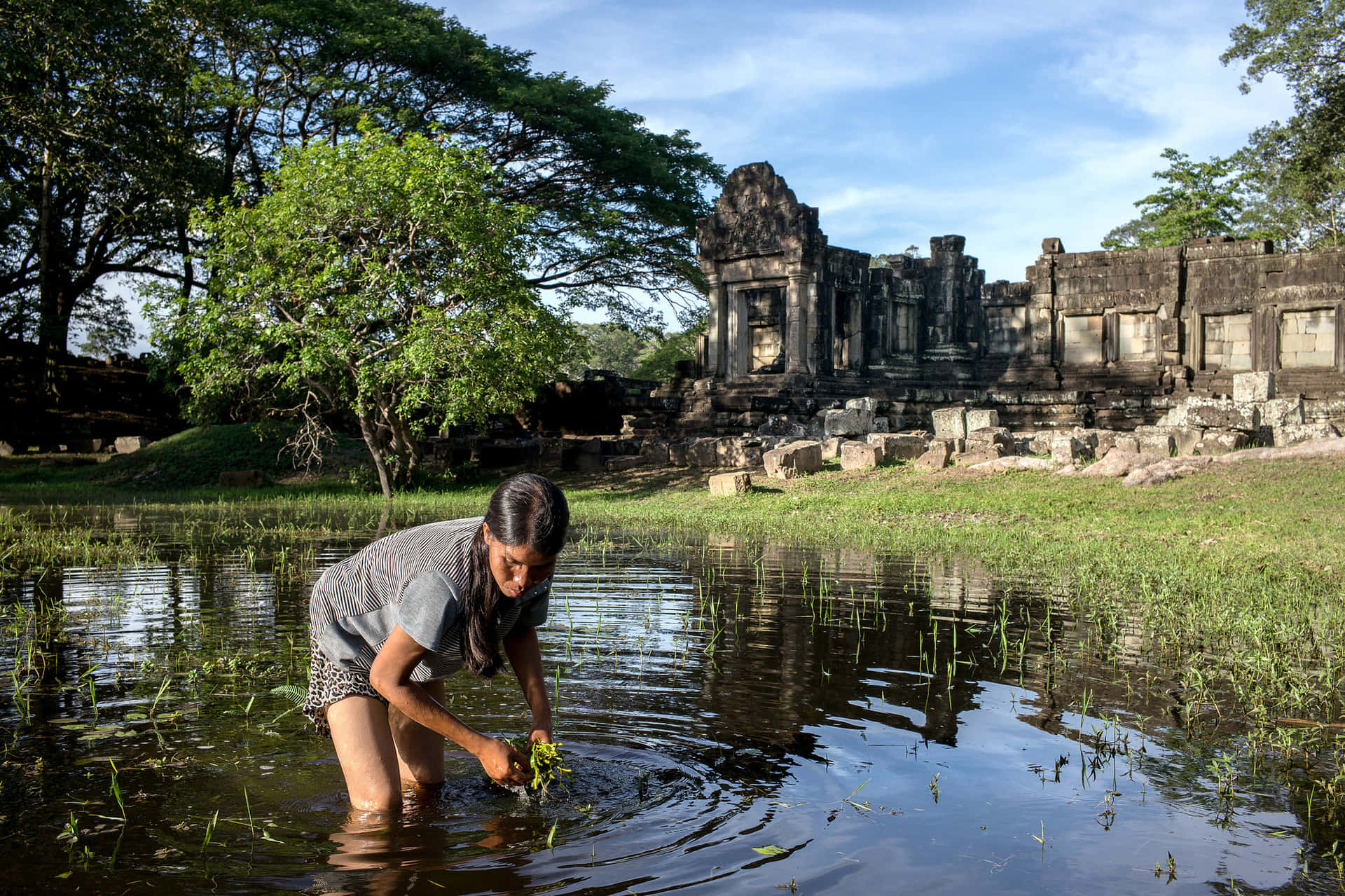 Man In Water In Angkor Thom Wallpaper