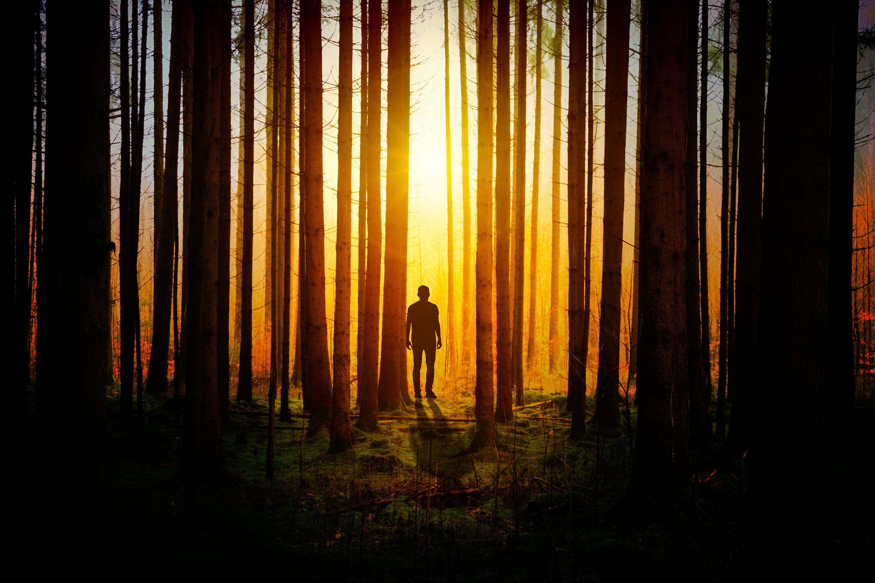 Man In Woods Alone Phone Background Wallpaper