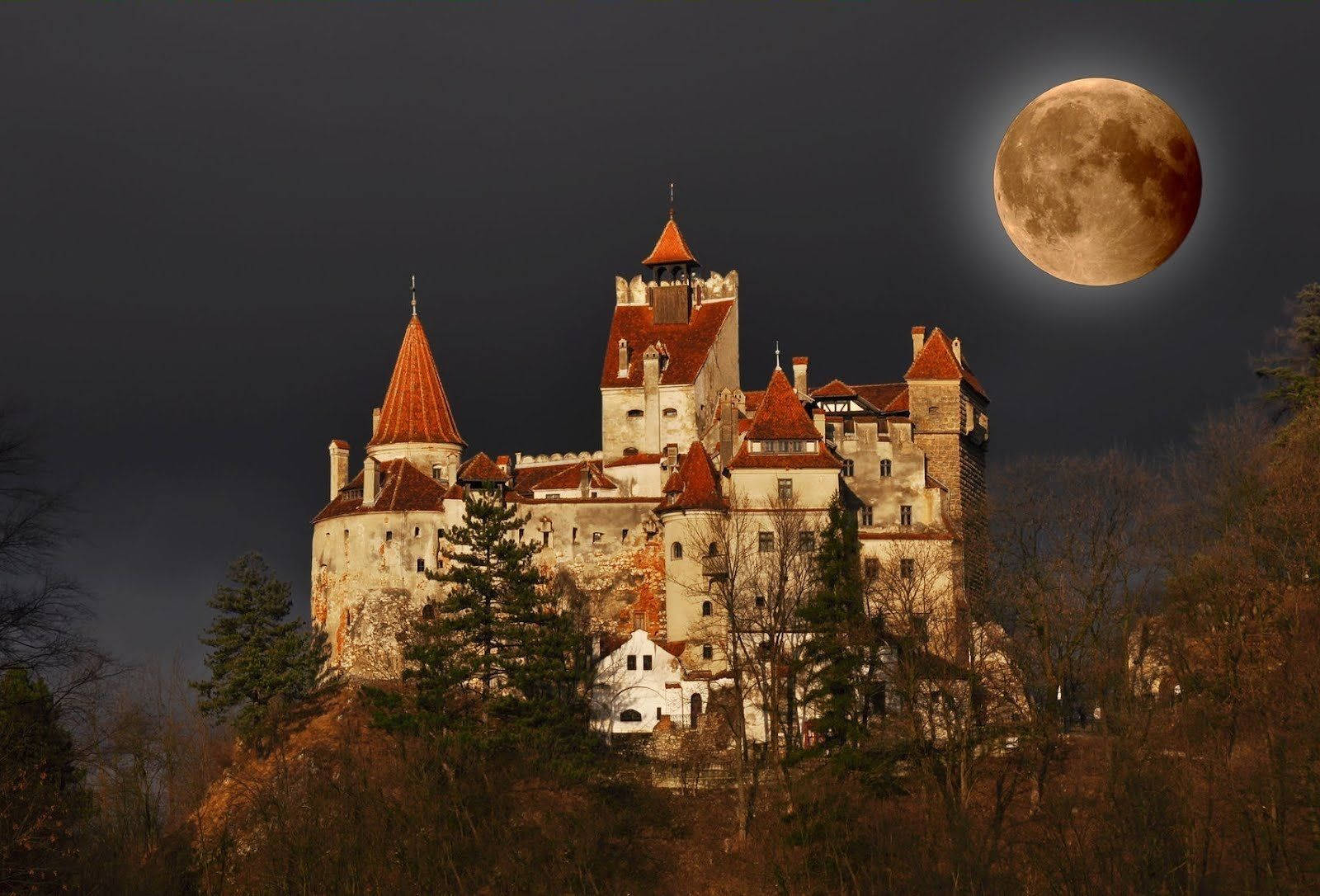 Man Made Bran Castle Night Romania Moon Castle Dark Man Made