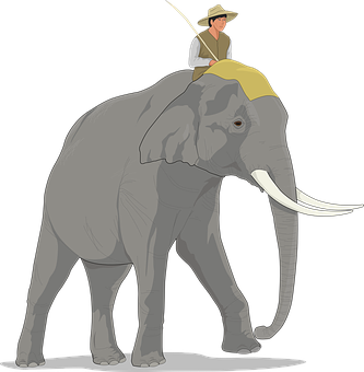 Man_ Riding_ Elephant_ Illustration PNG