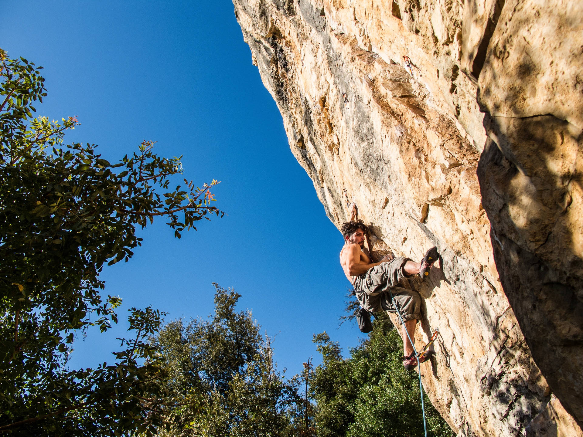 Man Rock Climbing Near The Tree Wallpaper