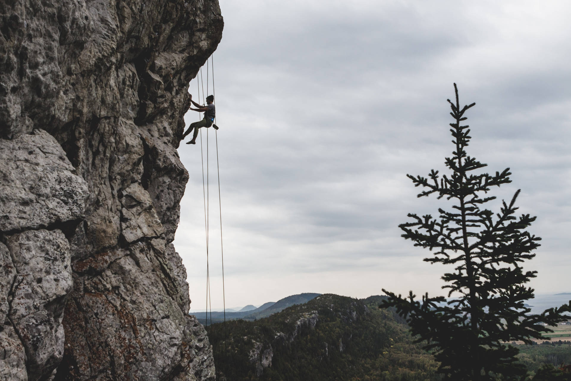Man Rock Climbing Using Ropes Wallpaper