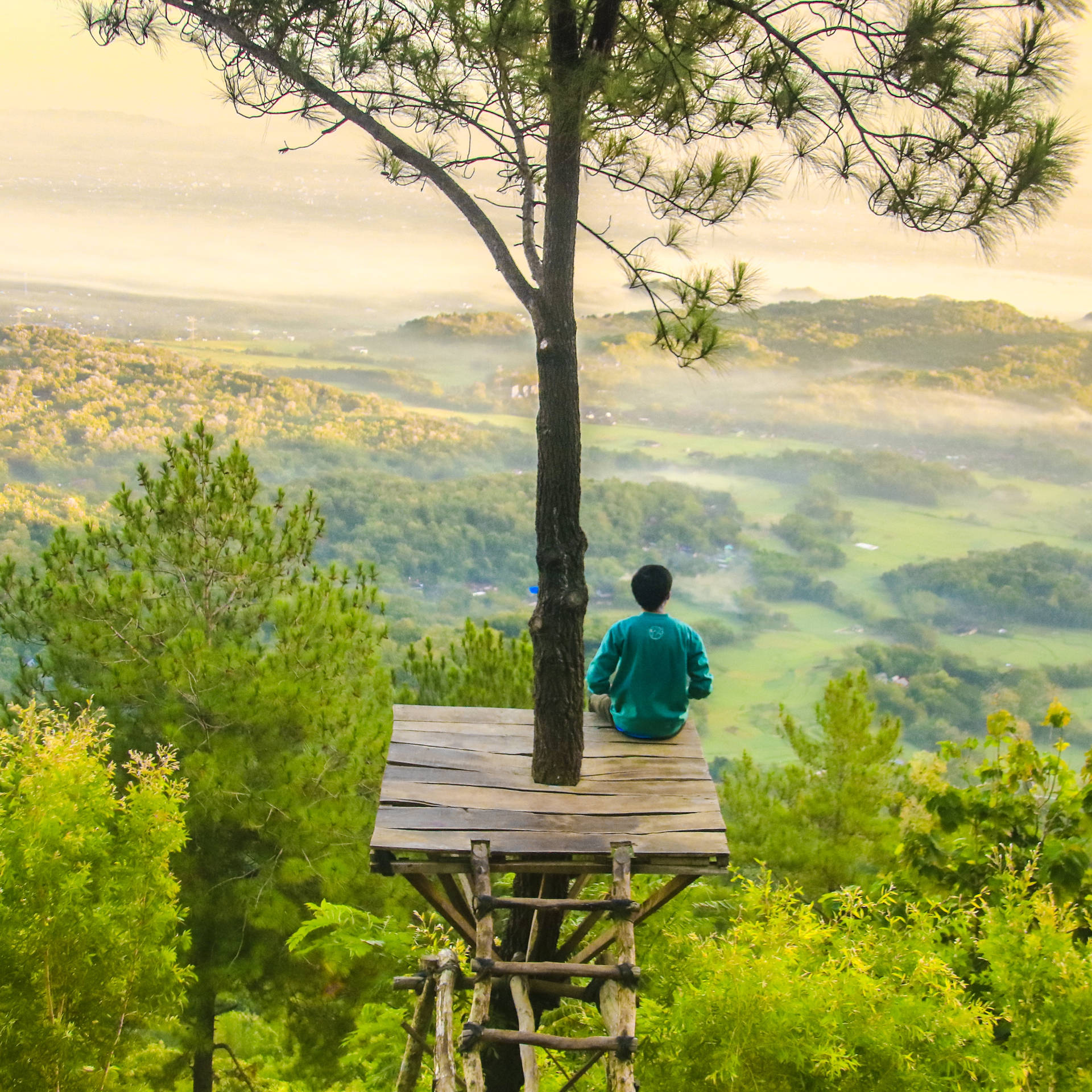Man Sitting Alone On Treehouse Platform Wallpaper