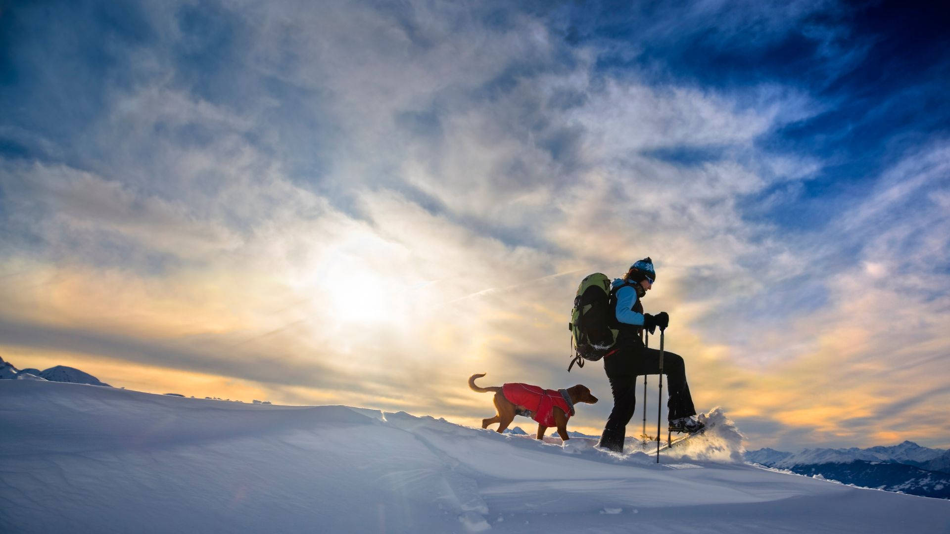 Man Snowshoeing With His Dog Wallpaper