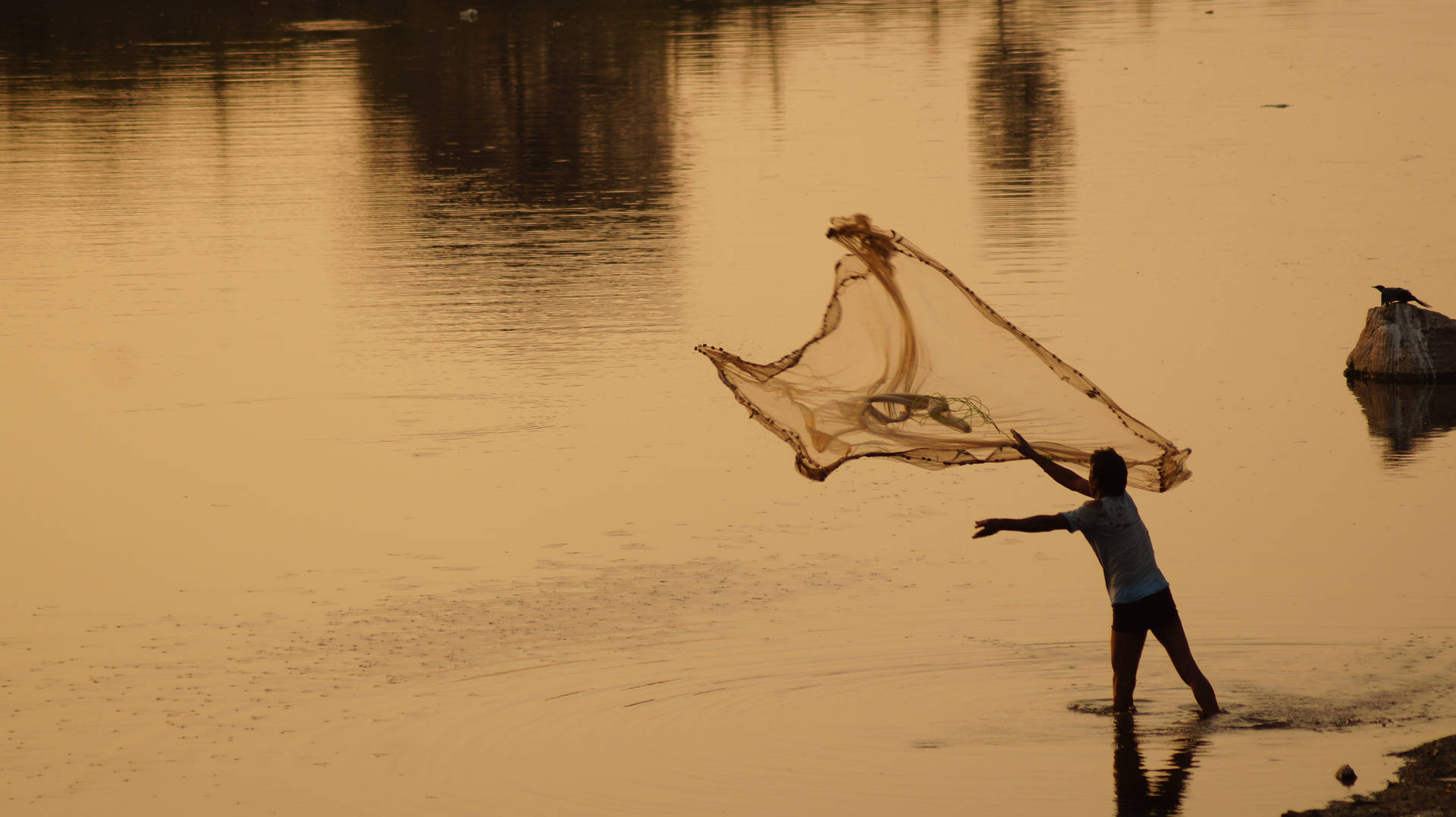 A man spreads a fishing net to haul in the morning's catch. Wallpaper