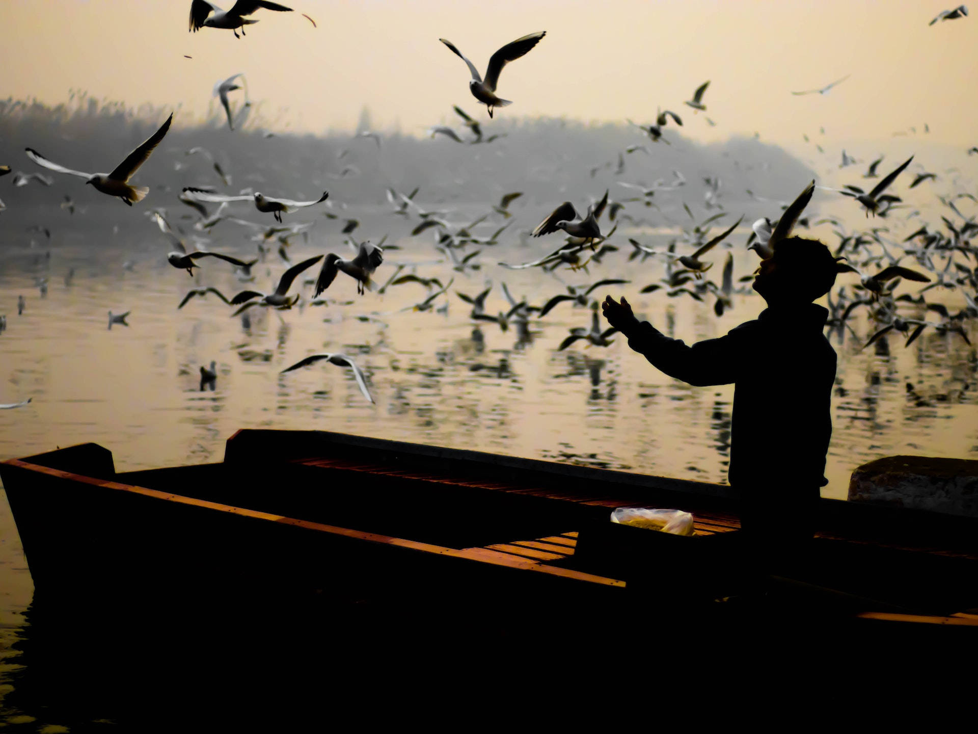 Mand står på båden under flyvende fugle Wallpaper