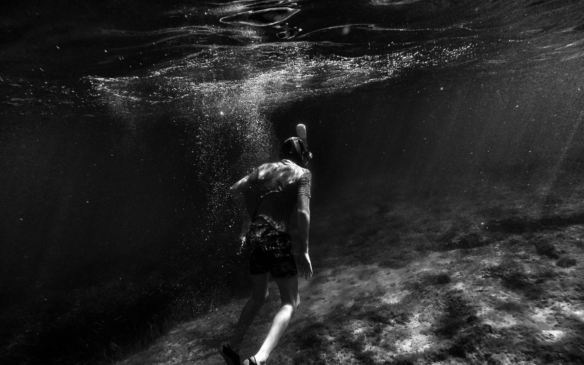 Man Swimming Under The Sea Grayscale Wallpaper