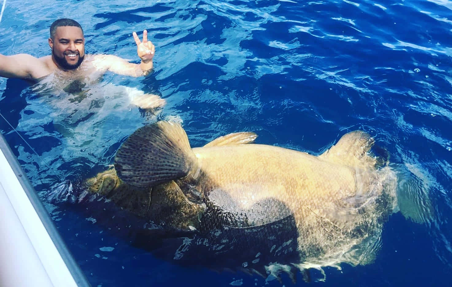 Man Zwemmen Met Goliath Grouper Achtergrond