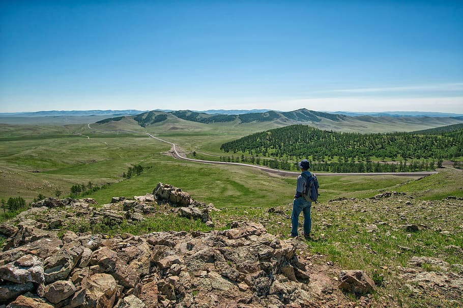 Mand rejser Mongolias Wold på baggrund Wallpaper