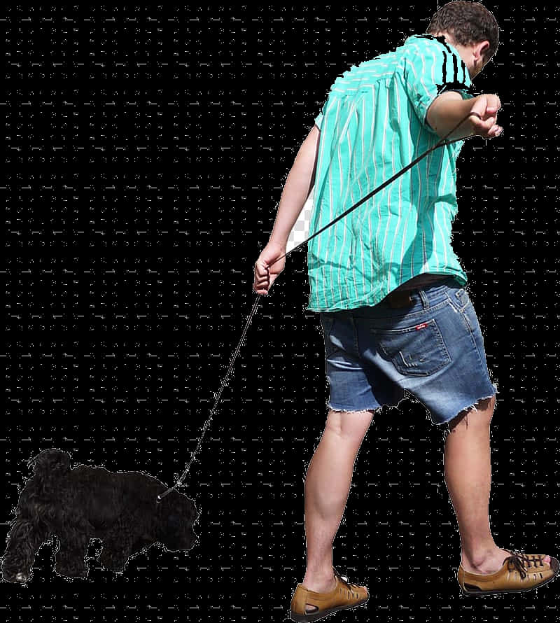 Man Walking Dog Transparent Background PNG