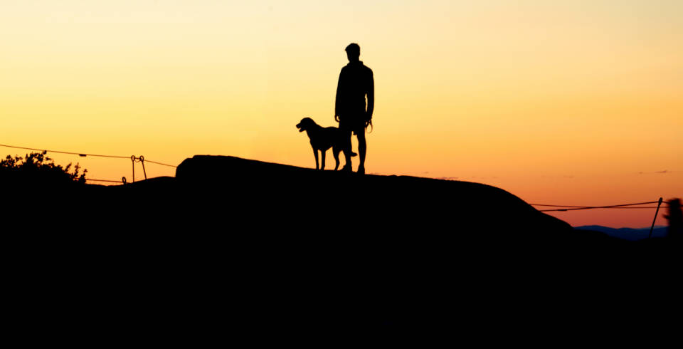 Mannenmed Sin Söta Valpvän - The Phrase Is Not Specific To Computer Or Mobile Wallpapers, But It Can Be Used As A Caption On A Wallpaper Featuring A Picture Of A Man With His Cute Puppy Best Friend. Wallpaper