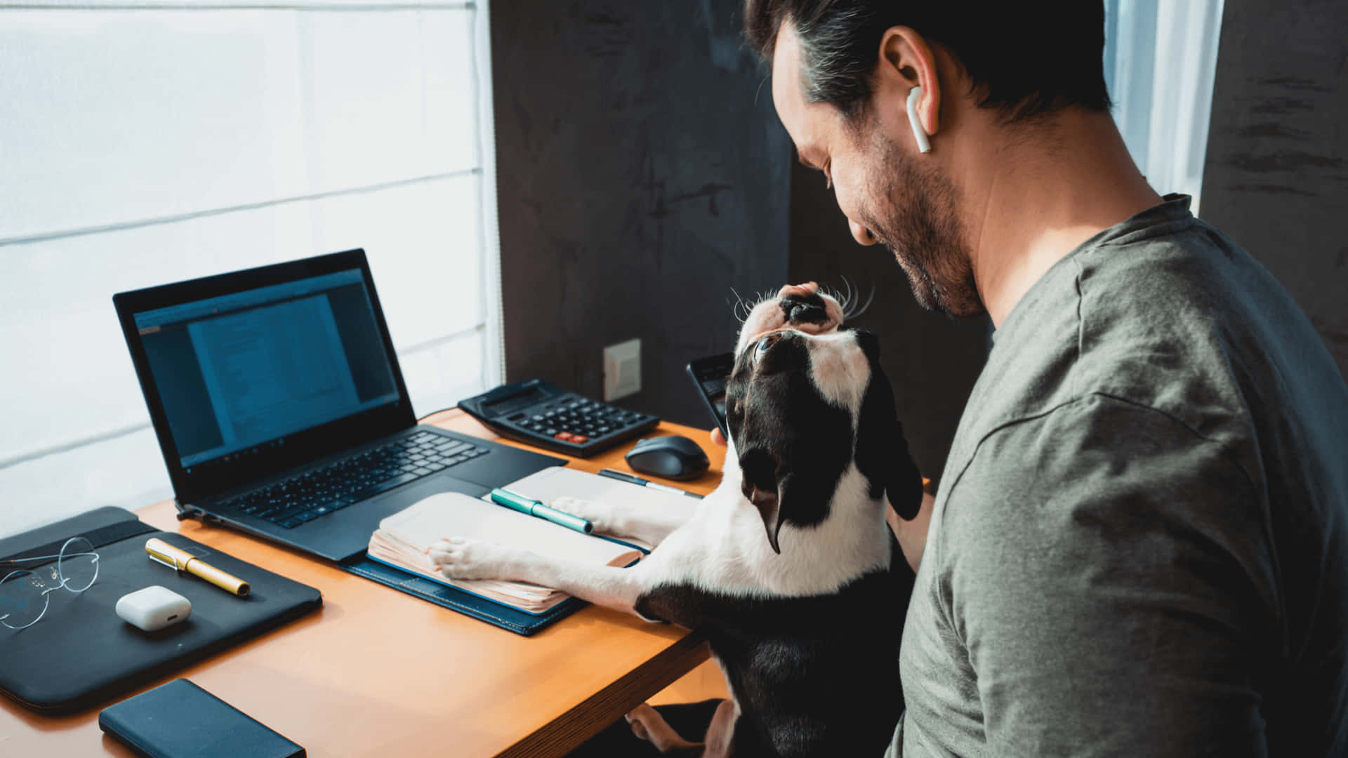 Man Working With Dog Wallpaper