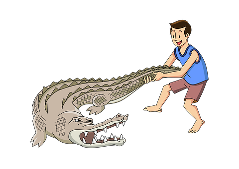 Man Wrestling Crocodile Cartoon PNG