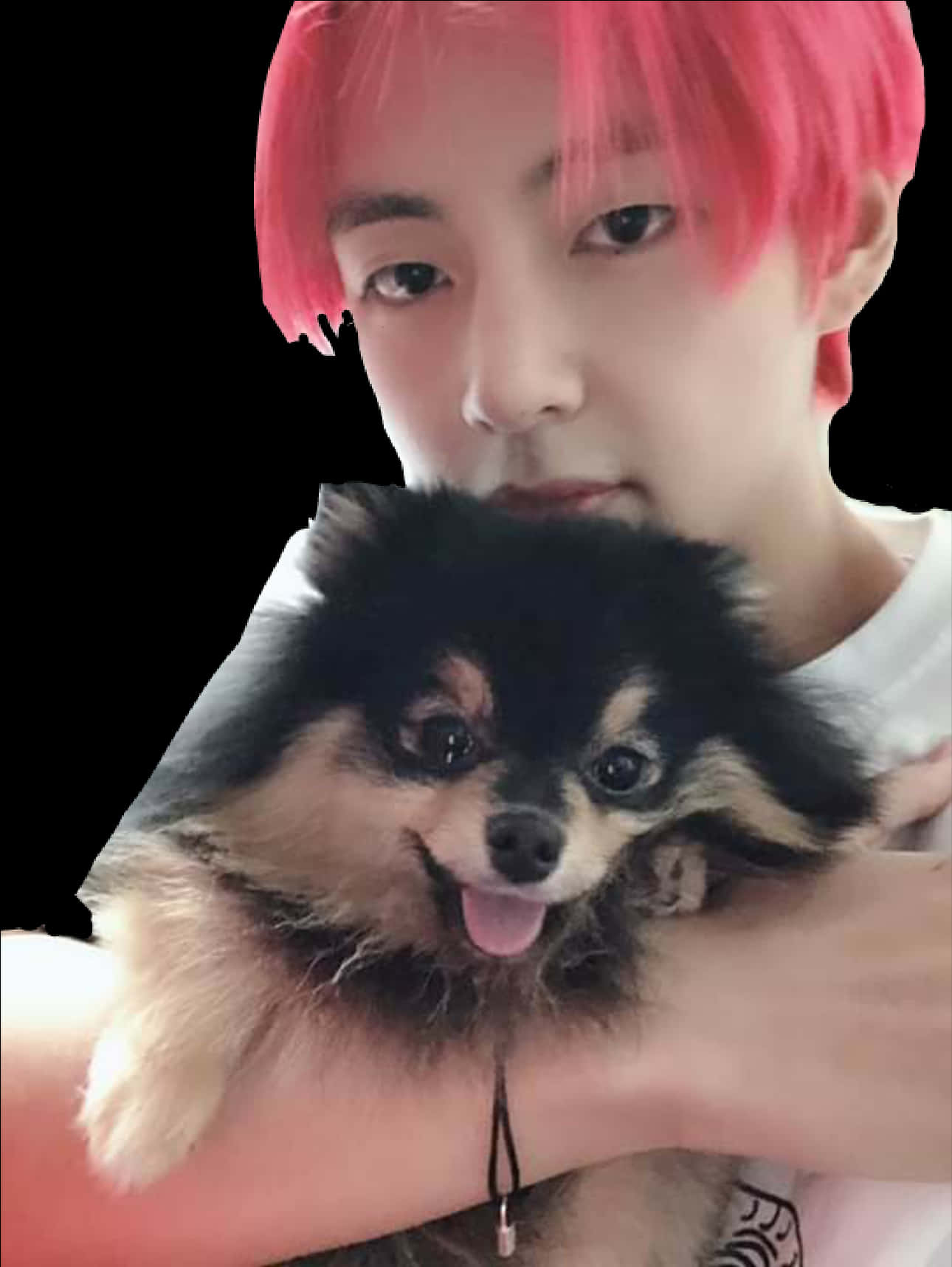 Man_with_ Pink_ Hair_and_ Pomeranian_ Dog PNG