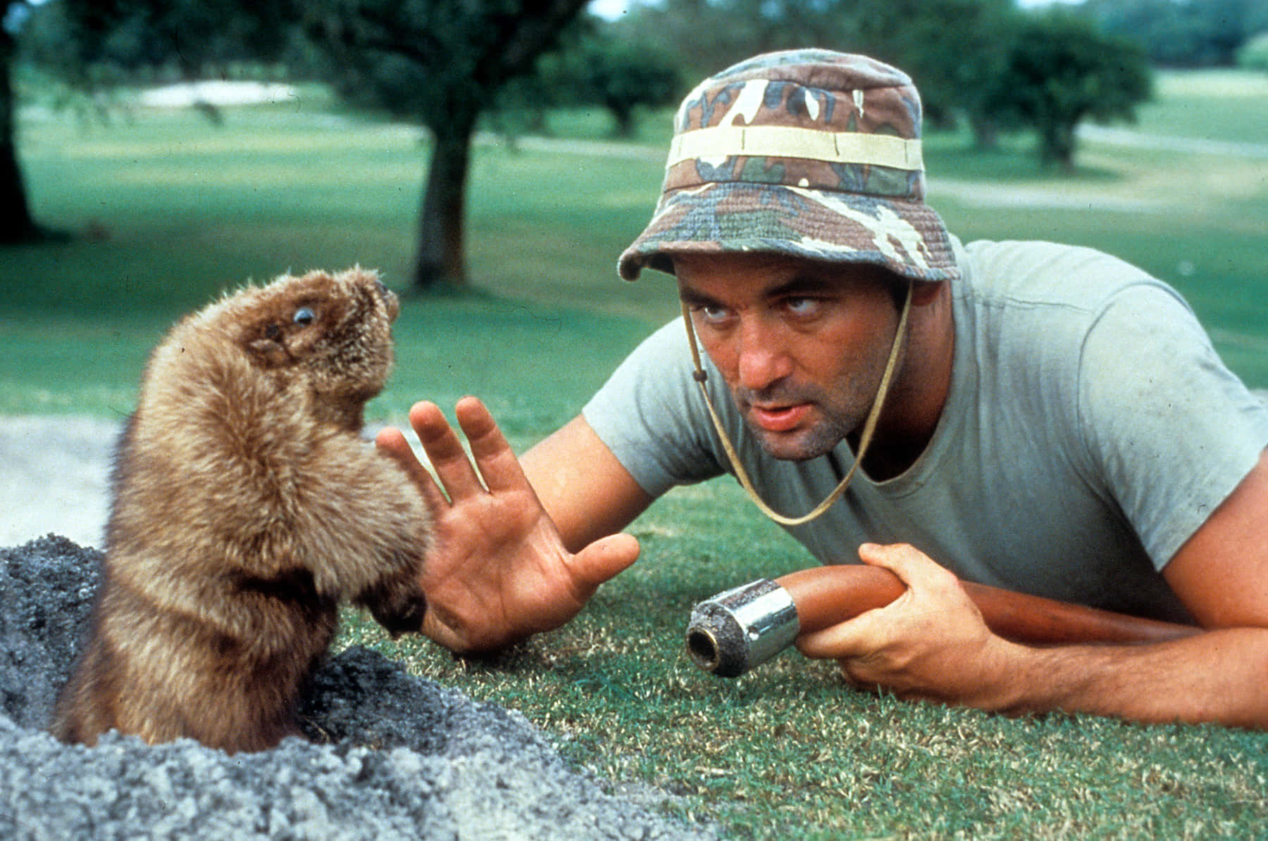 Man En Gopher Standoff Op Golfbaan Achtergrond