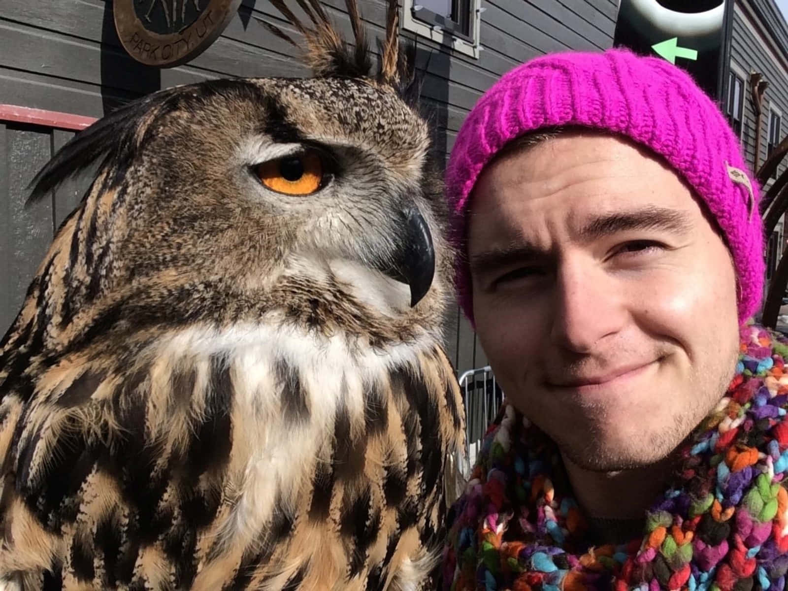 Manand Owl Selfie Wallpaper