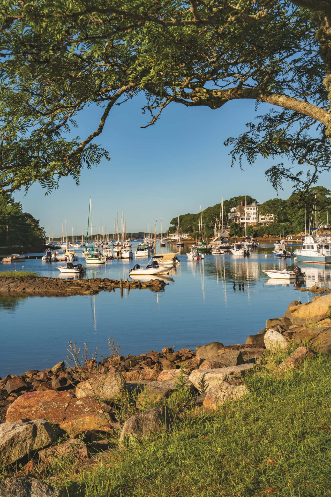 Manchester By The Sea Marina Zomer Uitzicht Achtergrond