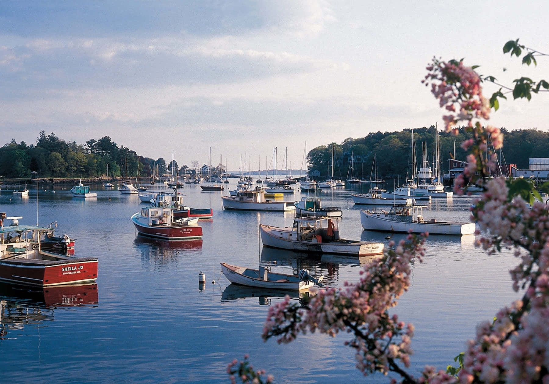 Manchester By The Sea Marina Zonsondergang Achtergrond