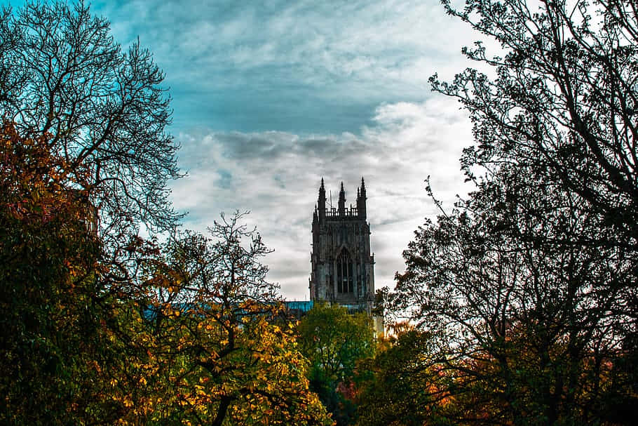 Manchester Cathedral Amongst Trees Wallpaper