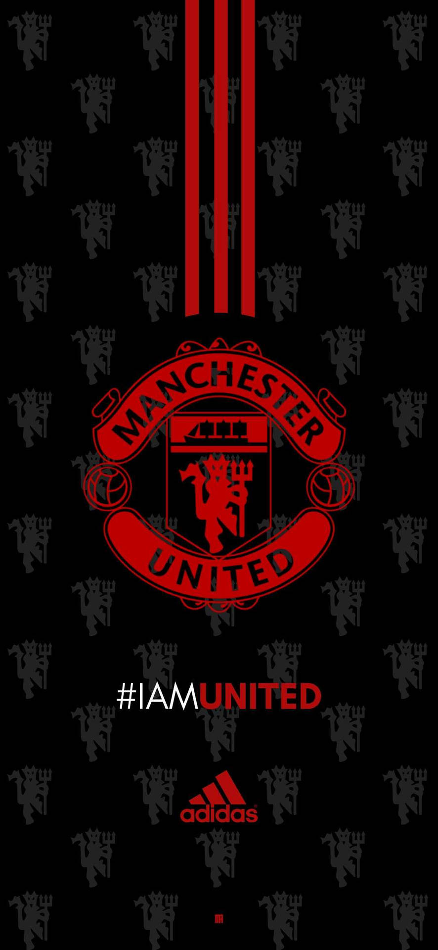 Manchester United Logo And Adidas Logo