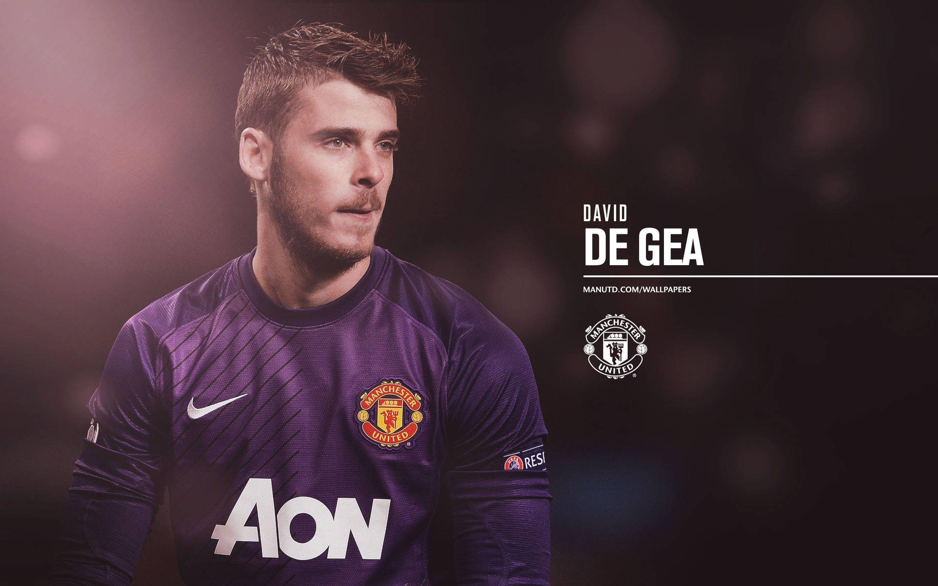 Tổng hợp hình ảnh thủ môn David De Gea đẹp nhất  Thủ môn Manchester  united Bóng đá