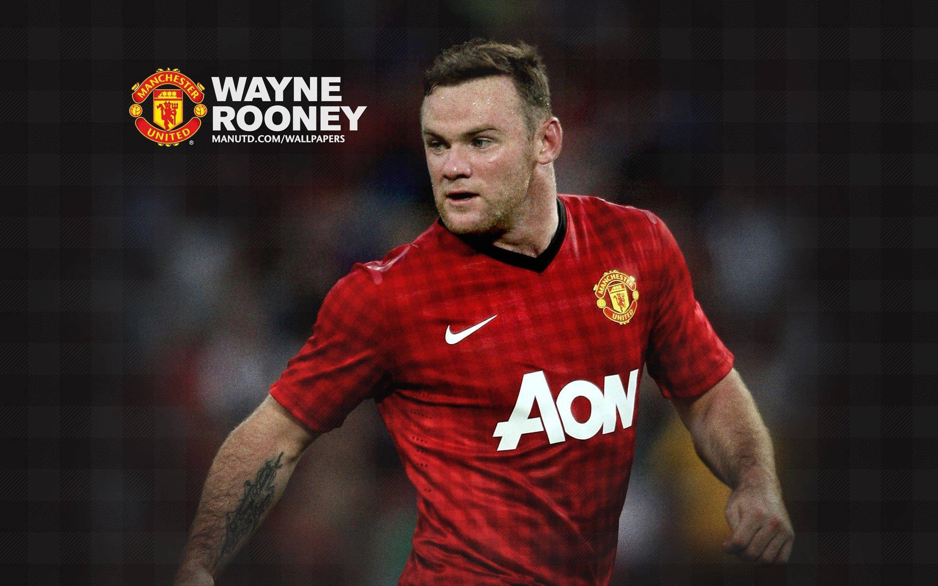 Manchester United Players: Wayne Rooney Picture