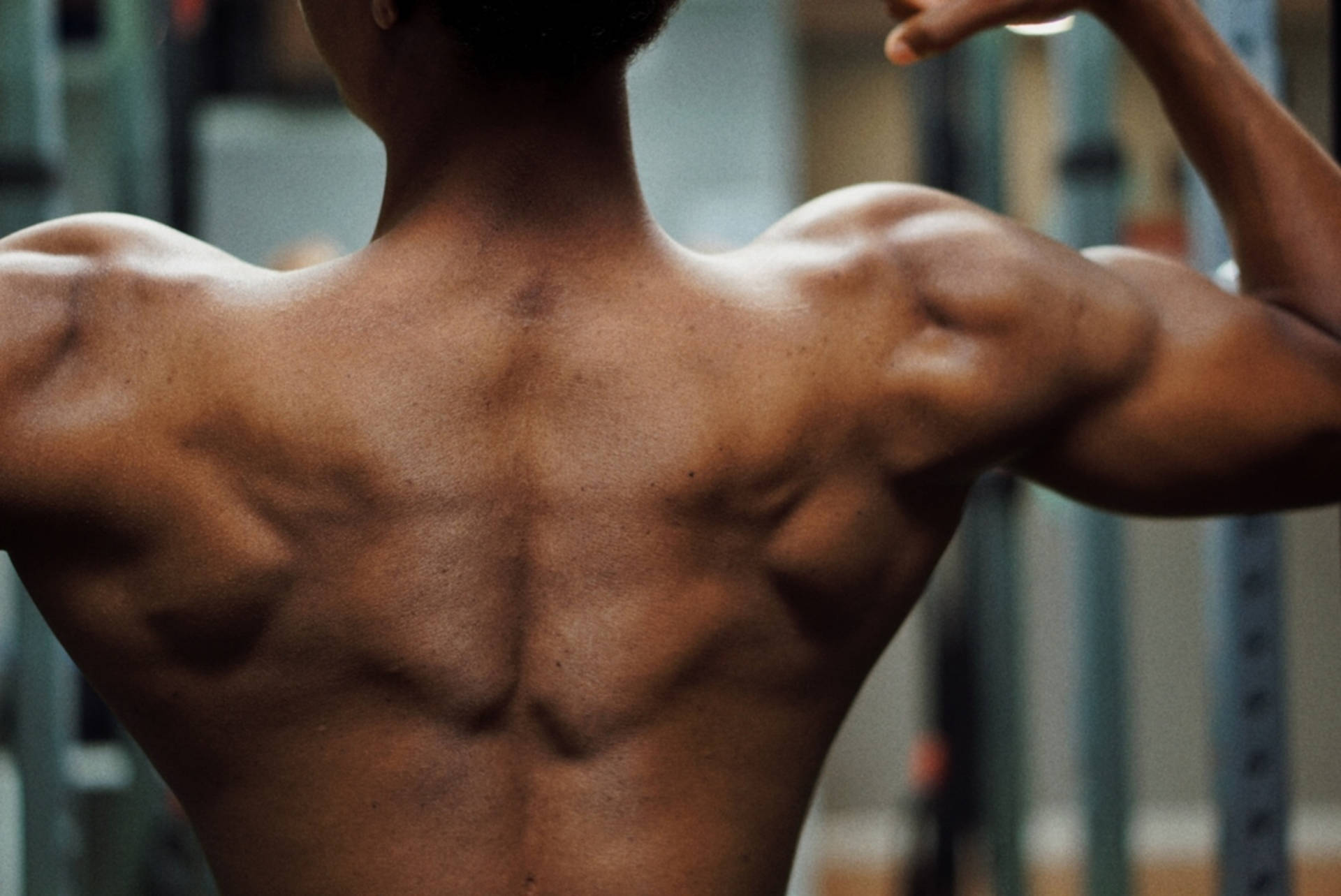Mand Flex Biceps Gym Wallpaper
