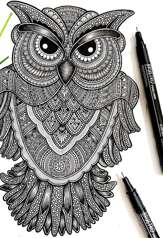 Owl Sketch Mandala Art Picture