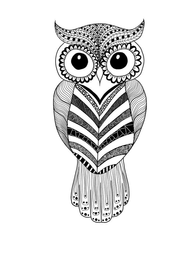 Cute Owl Mandala Art Picture