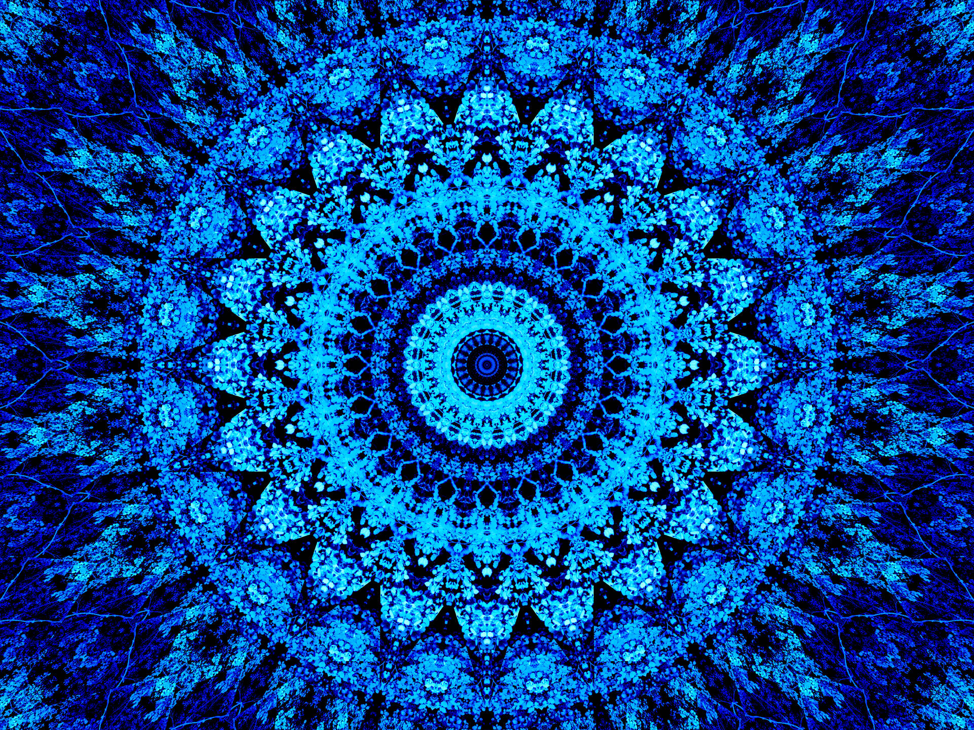 Mandala Blue Circle Pattern Wallpaper
