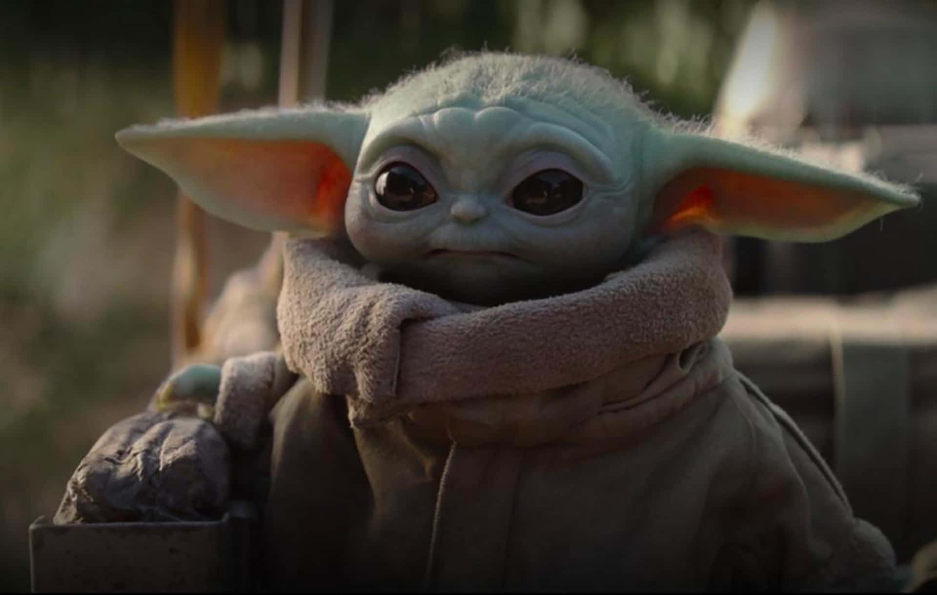 Yoda,mester I Mandalorianerens Vej. Wallpaper