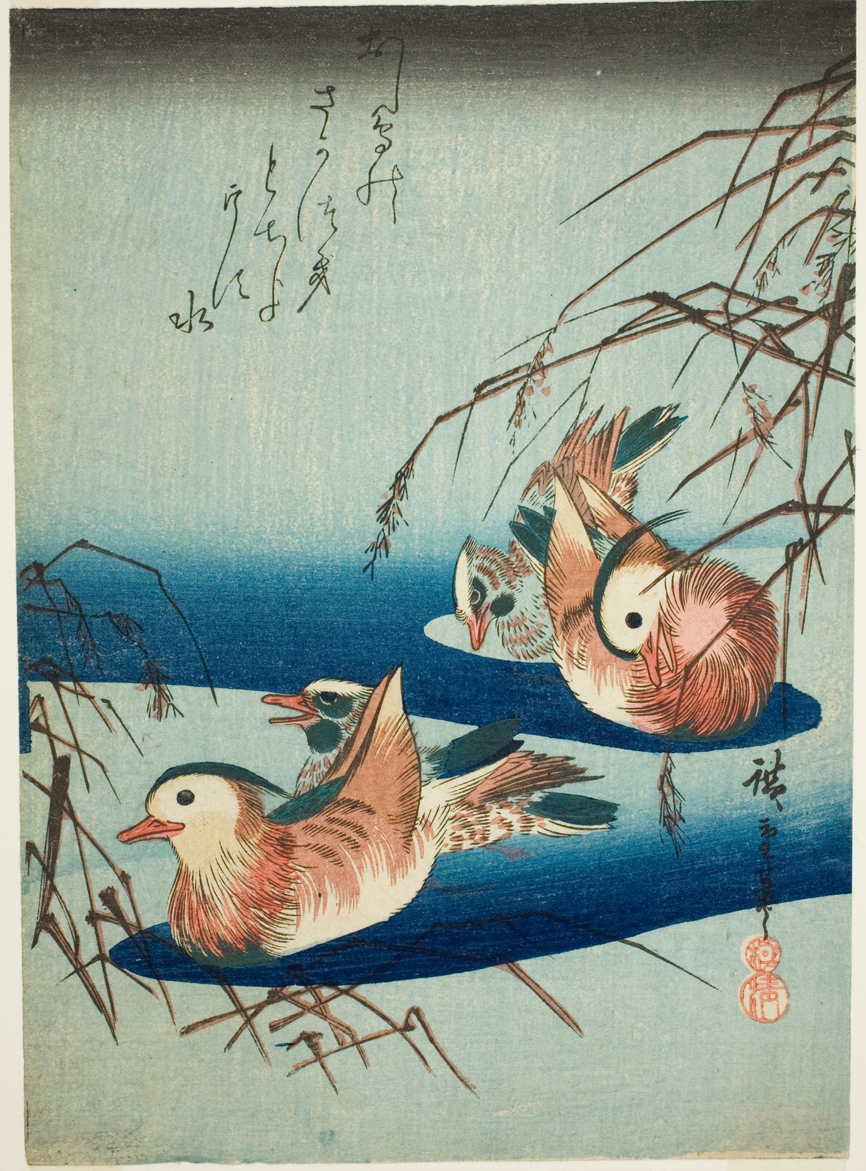 Mandarin ducks Wallpaper