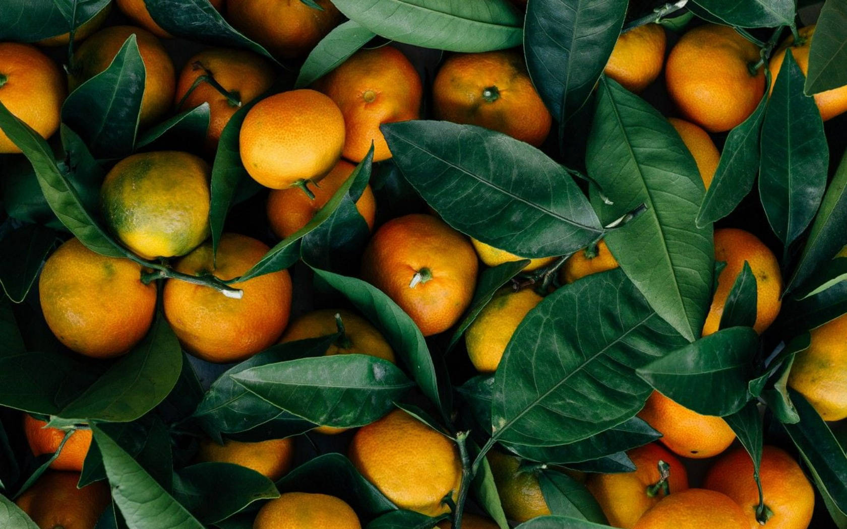 Mandarinenorange Zitrusfrucht Blätter Stapel Wallpaper