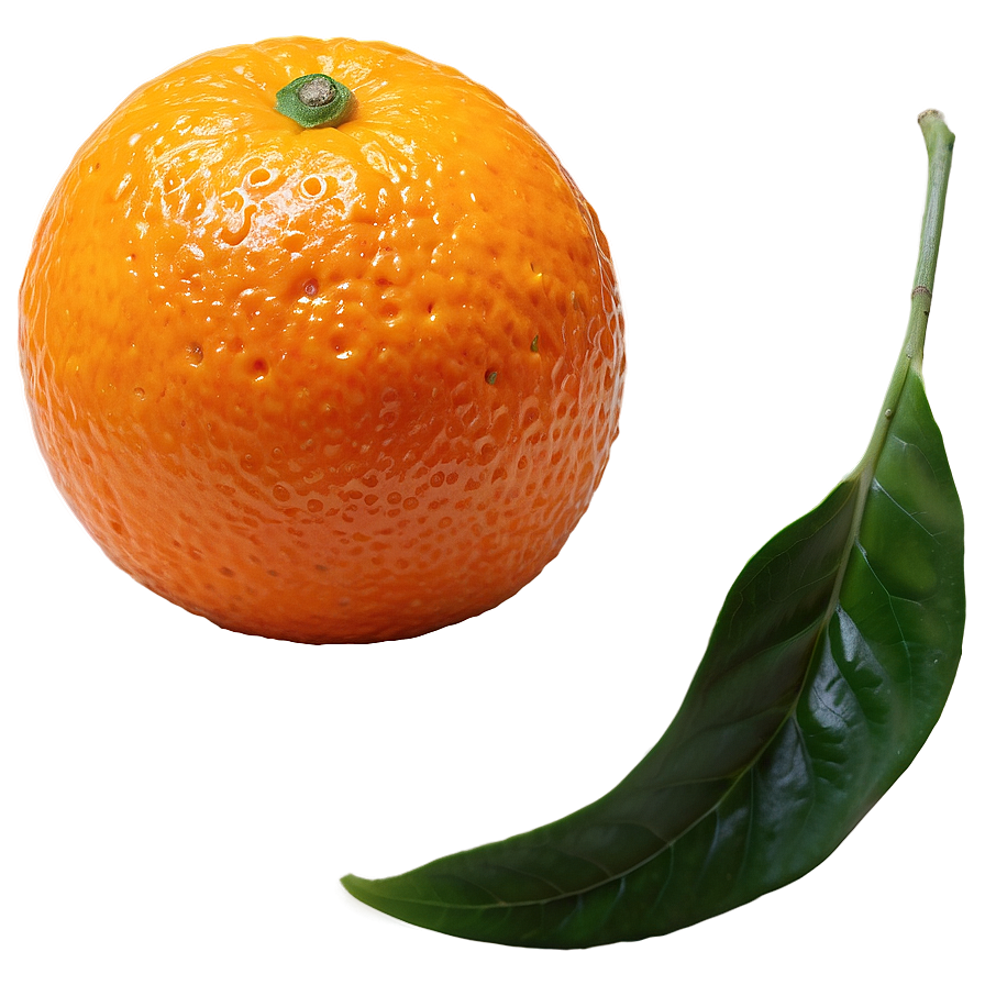 Mandarin Orange Png Olg27 PNG