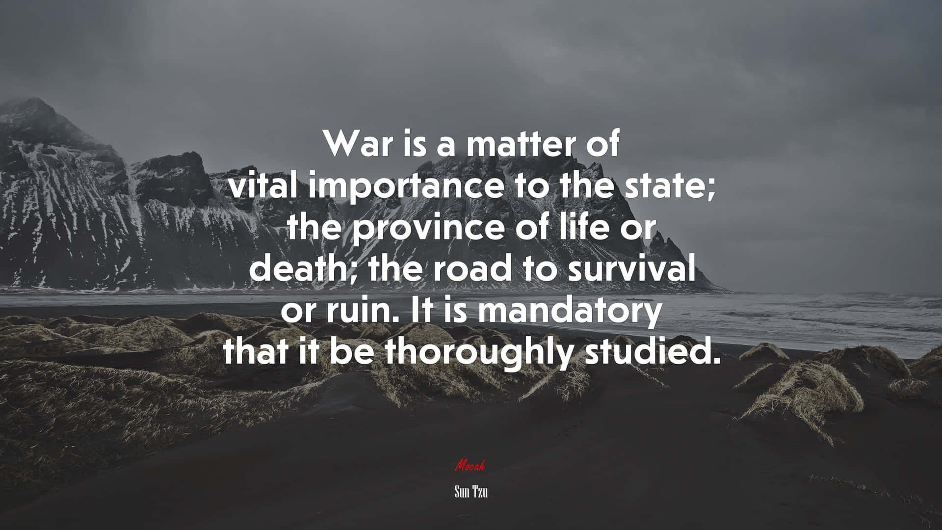 Mandatory Studyof War Quote Wallpaper