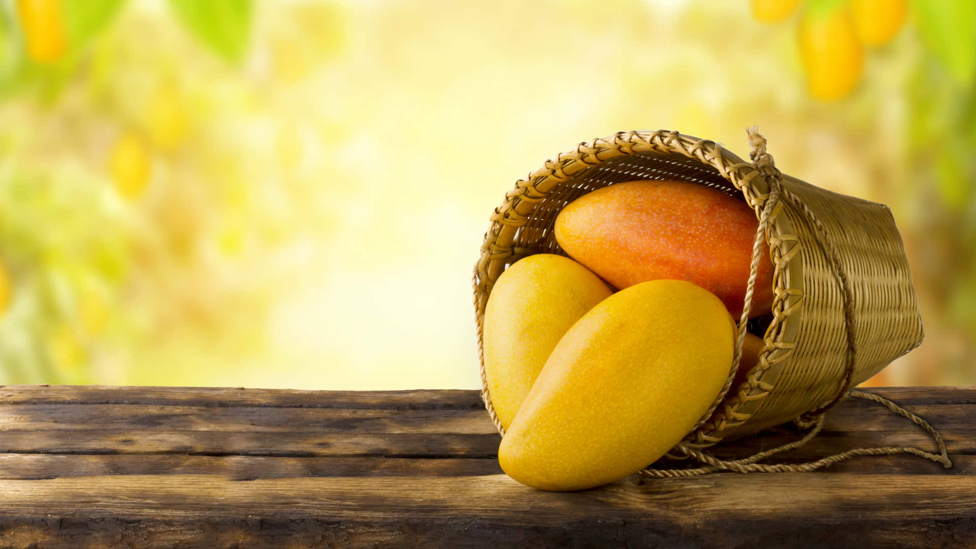 Mango Fruit Stock Photos, Images and Backgrounds for Free Download
