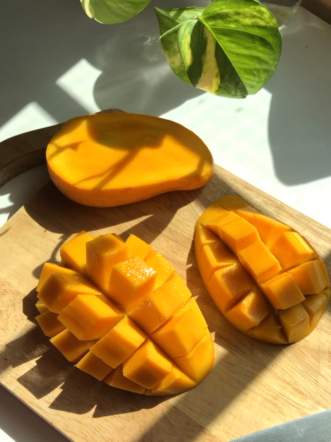 Mango tastes as sweet as it looks