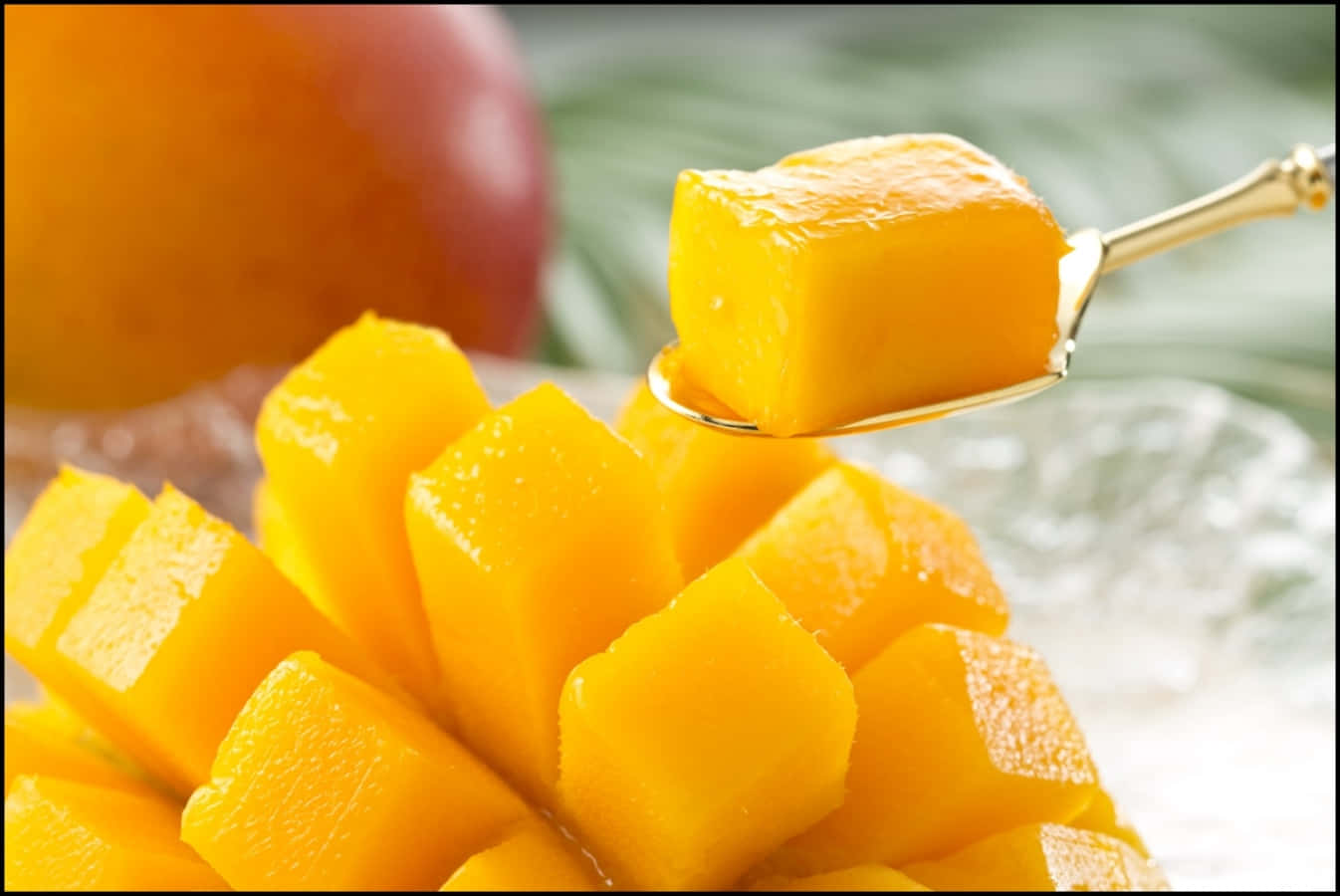 Enjoy delicious, juicy mangoes straight from nature.