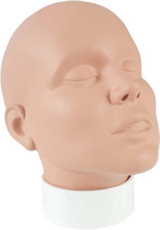 Mannequin Head Display PNG