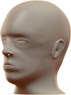 Mannequin Head Model Display PNG