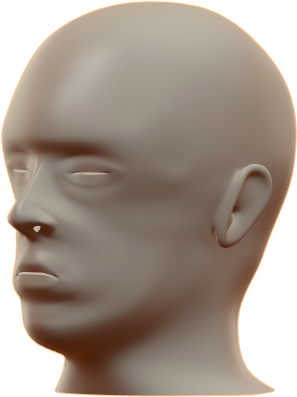 Mannequin Head3 D Model PNG