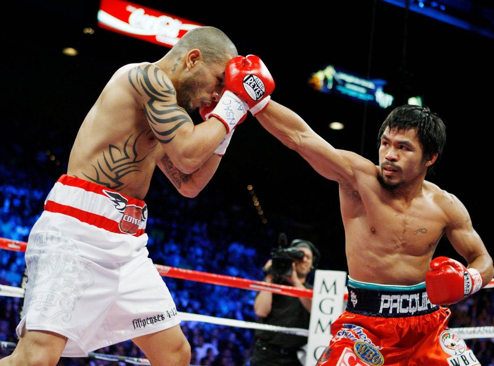 Manny Pacquiao Punches Miguel Cotto Wallpaper