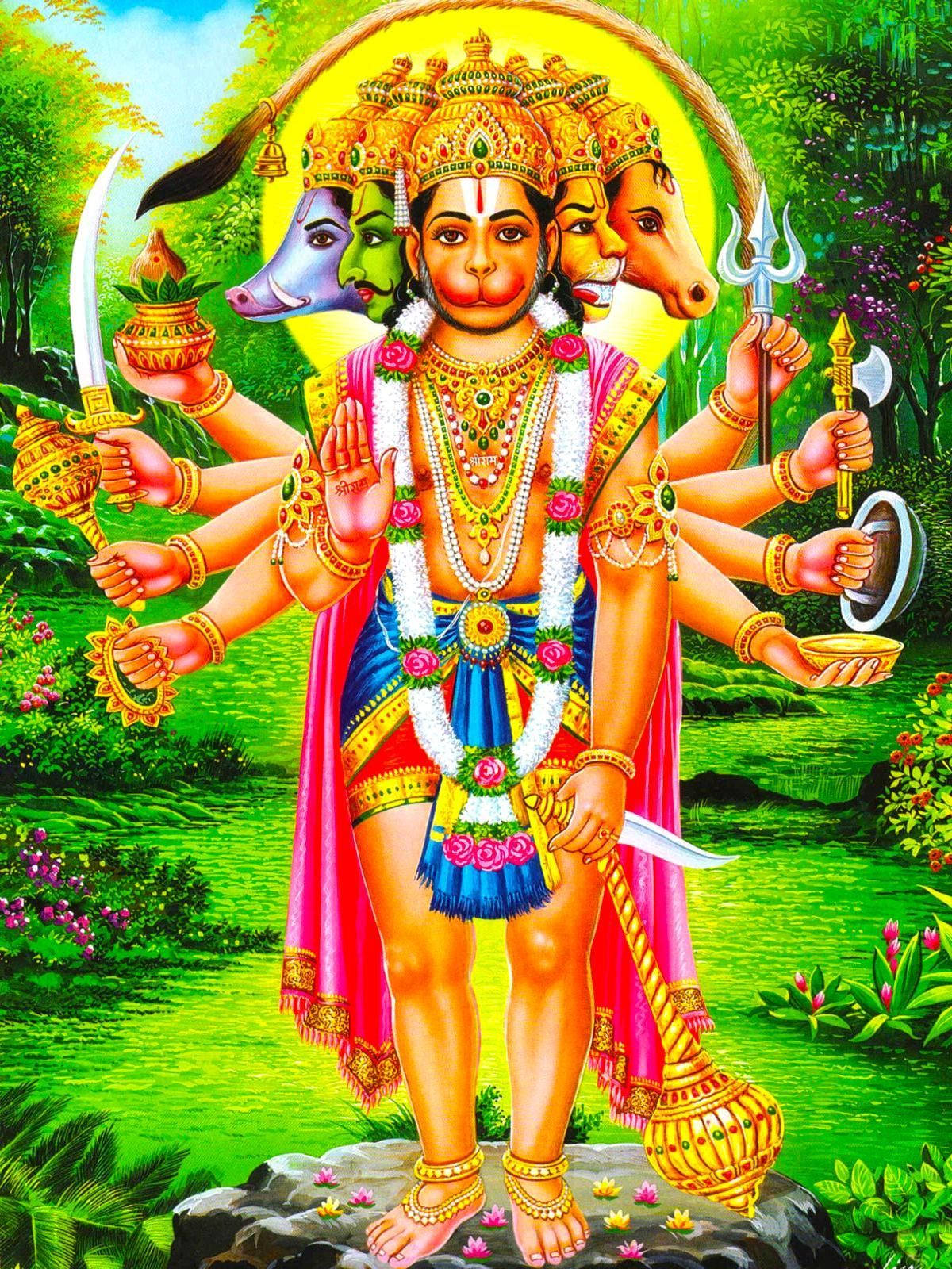 Many Arms And Heads Hanuman Art