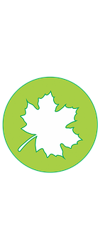 Maple Leaf Icon Green Background PNG