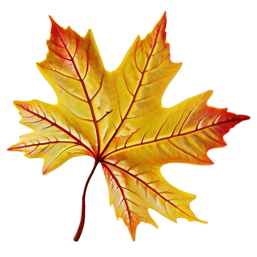 Maple Leaf In Fall Png Wpa67 PNG