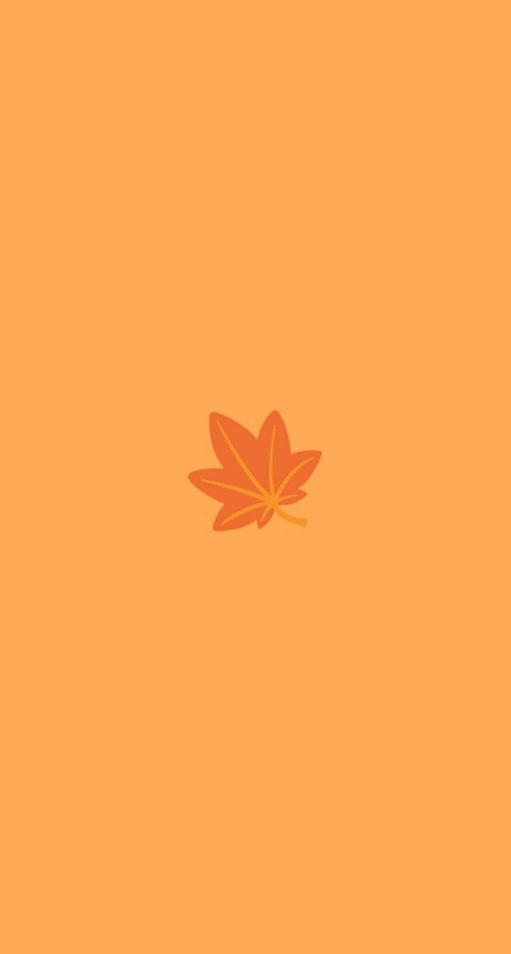 Vibrant Orange Maple Leaf illuminated on a Screen of an Orange Smartphone Wallpaper