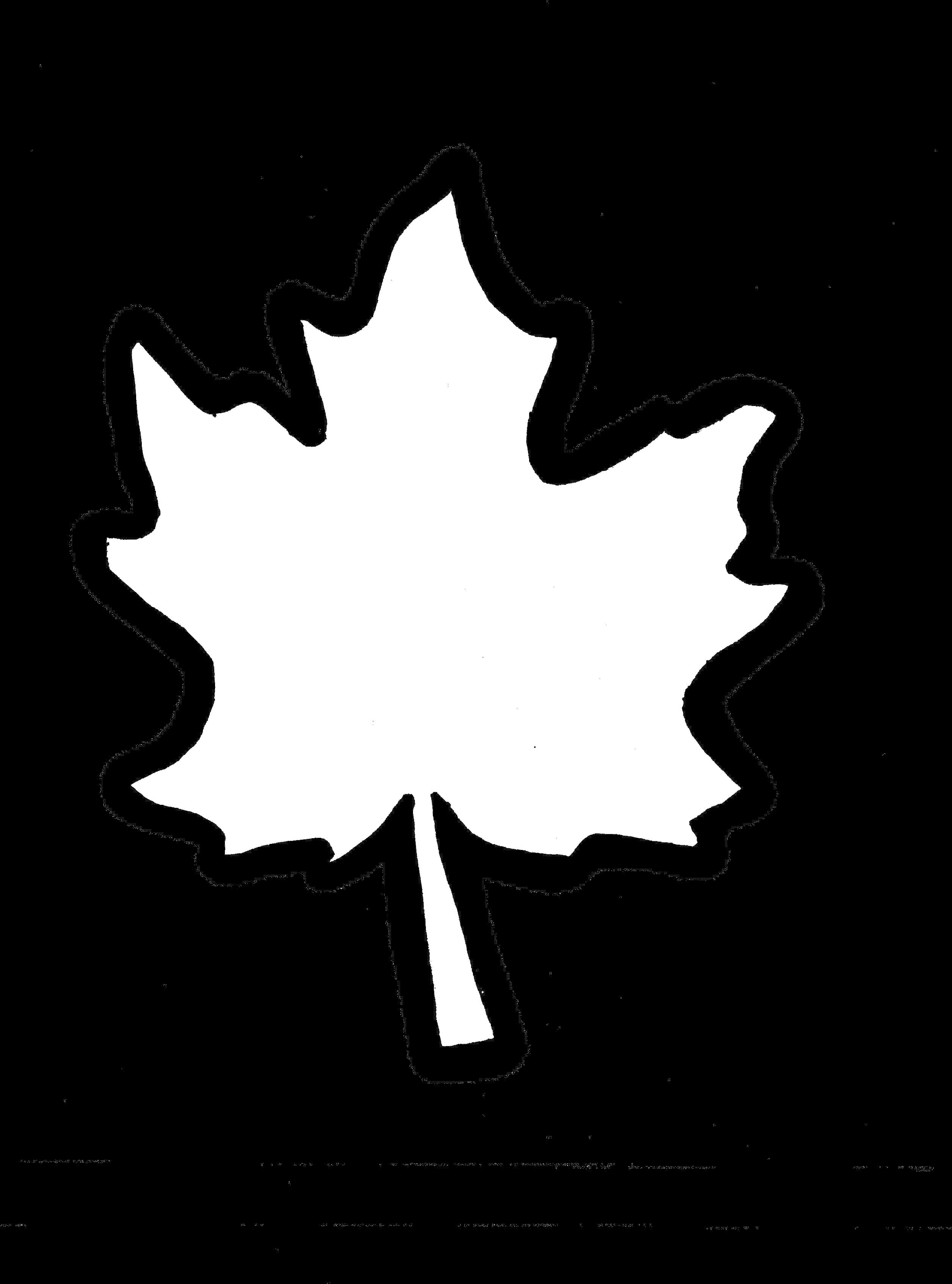 Maple Leaf Outline Clipart PNG