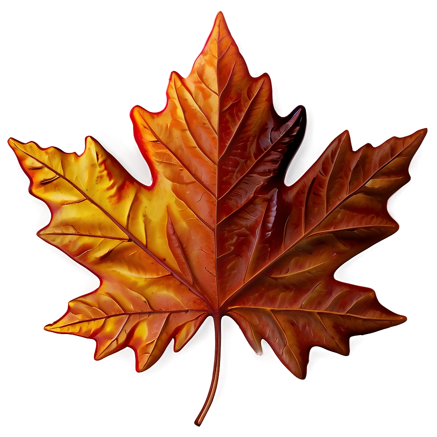 Maple Leaf Png Jbd PNG