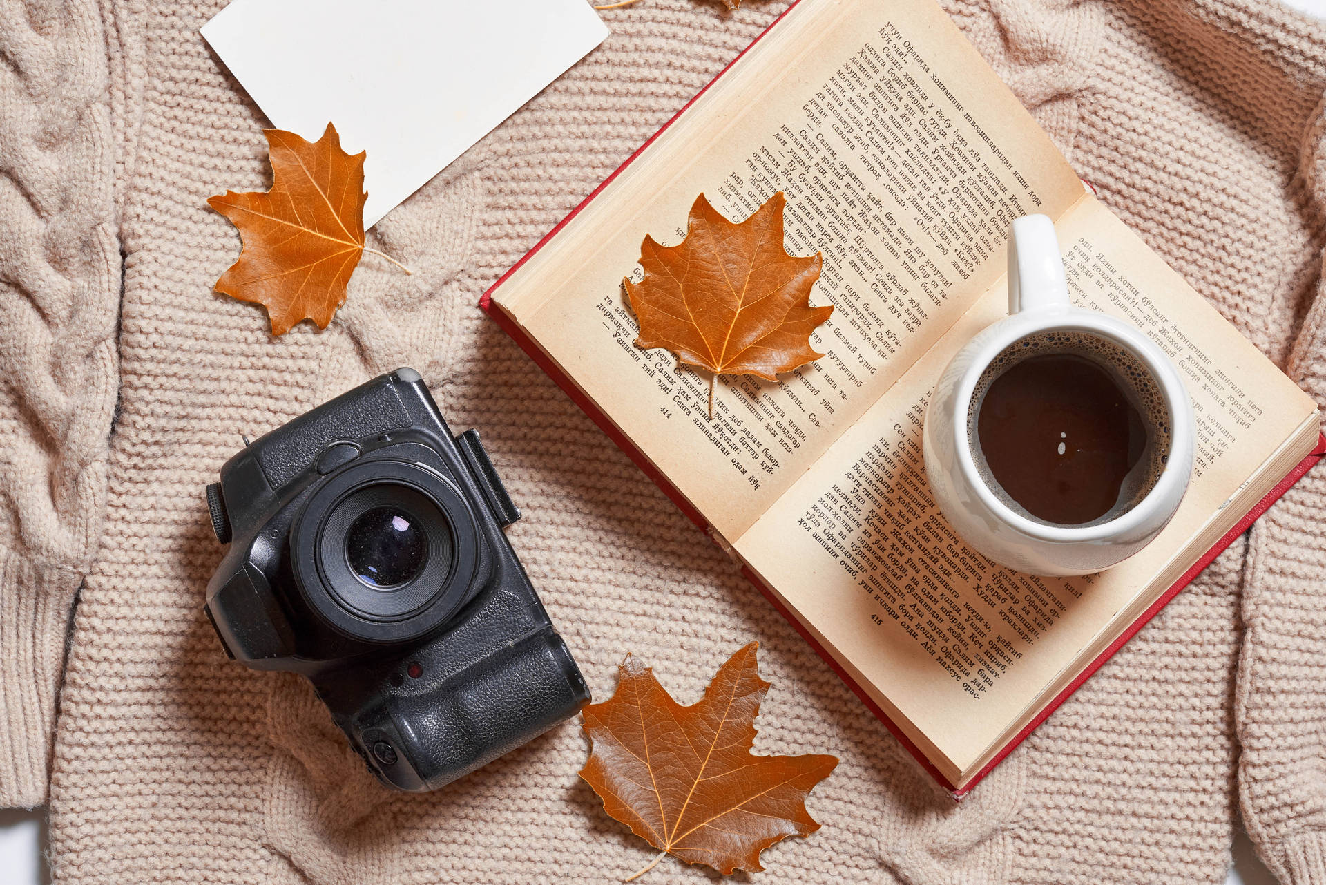 Maple Leaves Aesthetic Book Desktop Wallpaper